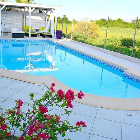 Villa Amethyste Avec Grande Piscine Privee, Jardin Clos, Parking Prive Ле-Робер Экстерьер фото